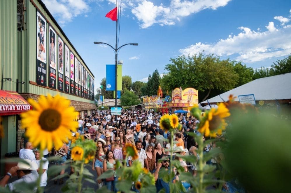 A lively crowd gathers at an outdoor fair, with sunflowers in the foreground and colorful signs and booths in the background—capturing the vibrant spirit of Paso Robles Events under a blue sky with scattered clouds.