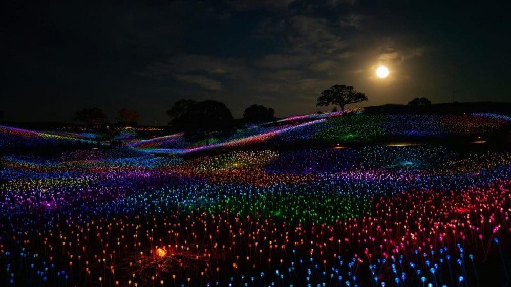 A field of thousands of colorful LED lights glows in waves across rolling hills under a full moon, offering a magical night reminiscent of Paso Robles Inn Experiences, with scattered trees silhouetted against the night sky.