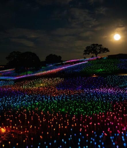 A nighttime scene of rolling hills covered in thousands of glowing, multicolored lights, with a bright full moon illuminating the sky and silhouetted trees in the background.