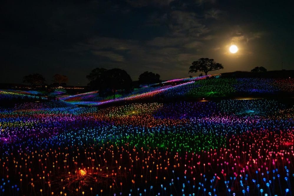 A glowing field of colorful lights covers rolling hills under a cloudy night sky with a full moon. Trees are silhouetted against the horizon, creating a magical and vibrant nighttime landscape.