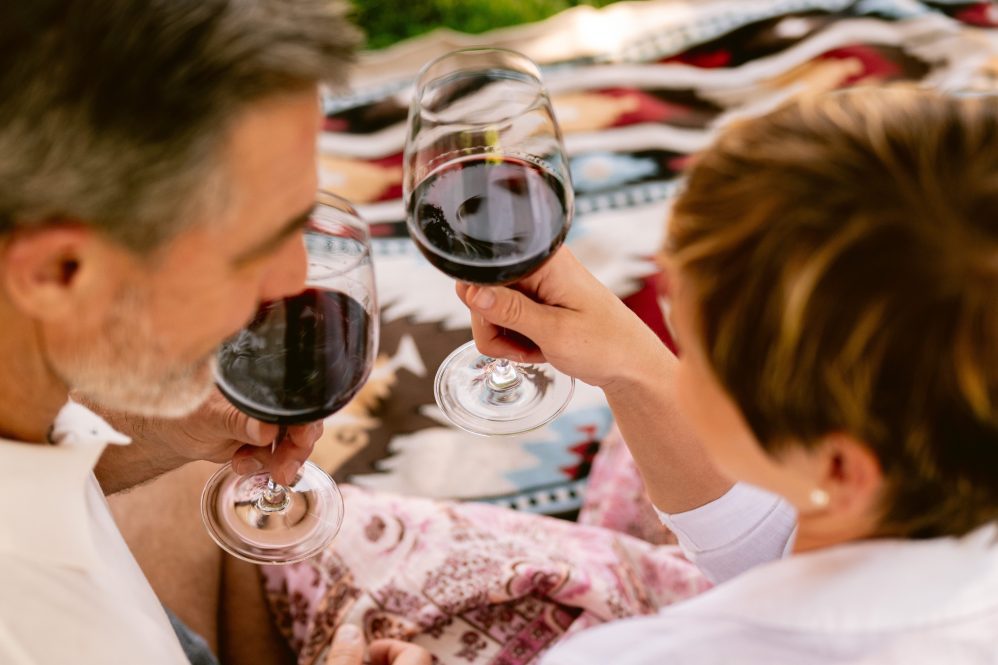 A close-up of two people sitting on a patterned blanket outdoors, clinking glasses of red wine, enjoying a relaxed moment together.