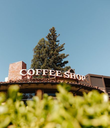 A building with a red brick chimney and a large COFFEE SHOP sign on the roof, partially obscured by green leaves, with a tall tree and clear blue sky in the background.