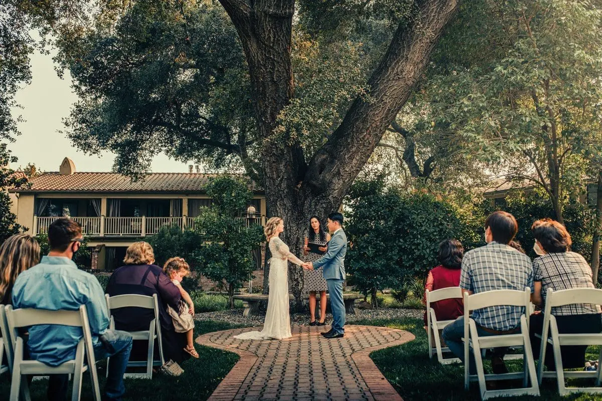 Bride and groom in a sunlit garden, surrounded by family and friends, holding hands and gazing into each other's eyes amidst lush greenery and colorful flowers.